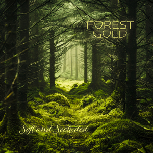 男主持人露臀视频
