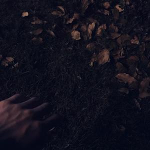 男主持人露臀视频
