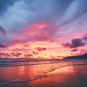 男主持人露臀视频
